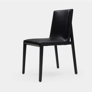 Vila din lemn Dining Scaun